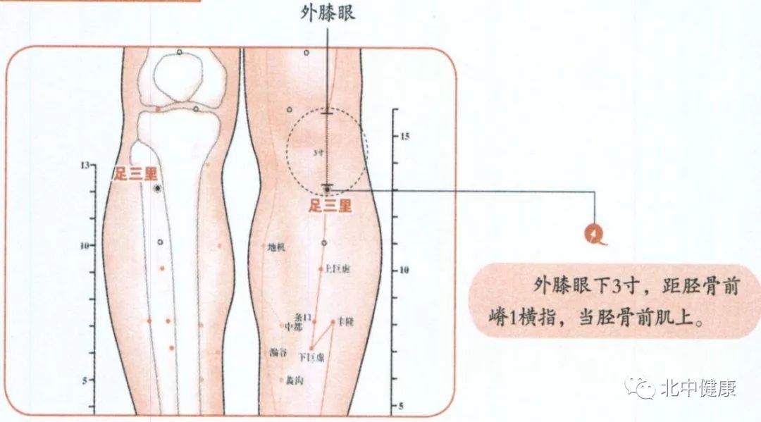 足三里