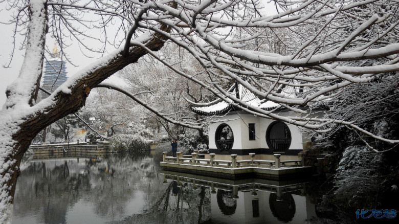 2018年年初 2016年网友实拍常州红梅公园 2016年2月1日,一夜雪飘