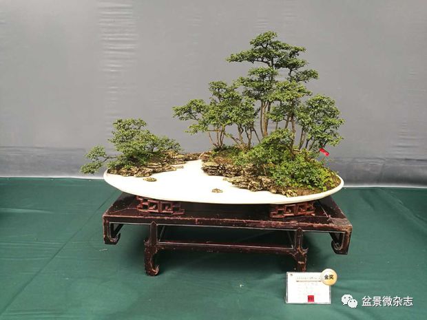 盆景大师田一卫用作品展现巴渝文化