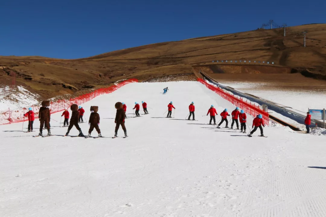 好消息会泽大海草山滑雪场12月8日开门迎客