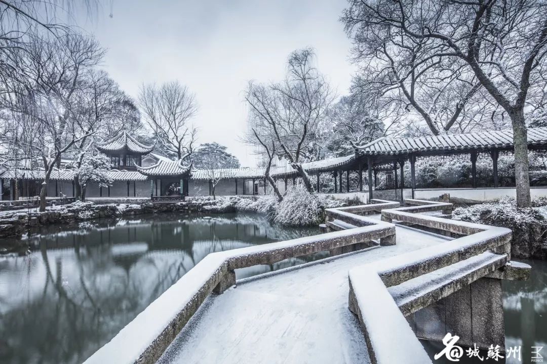 唯有苏州园林里一场绝美的雪, 使得阴冷的忍受变为值得.