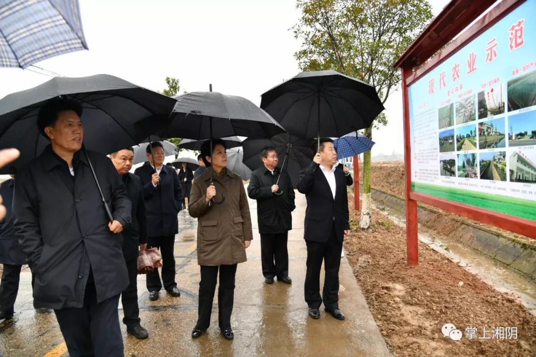 代表团参观鹤龙湖镇万亩蟹虾综合种养基地.步随景移,人入画中.