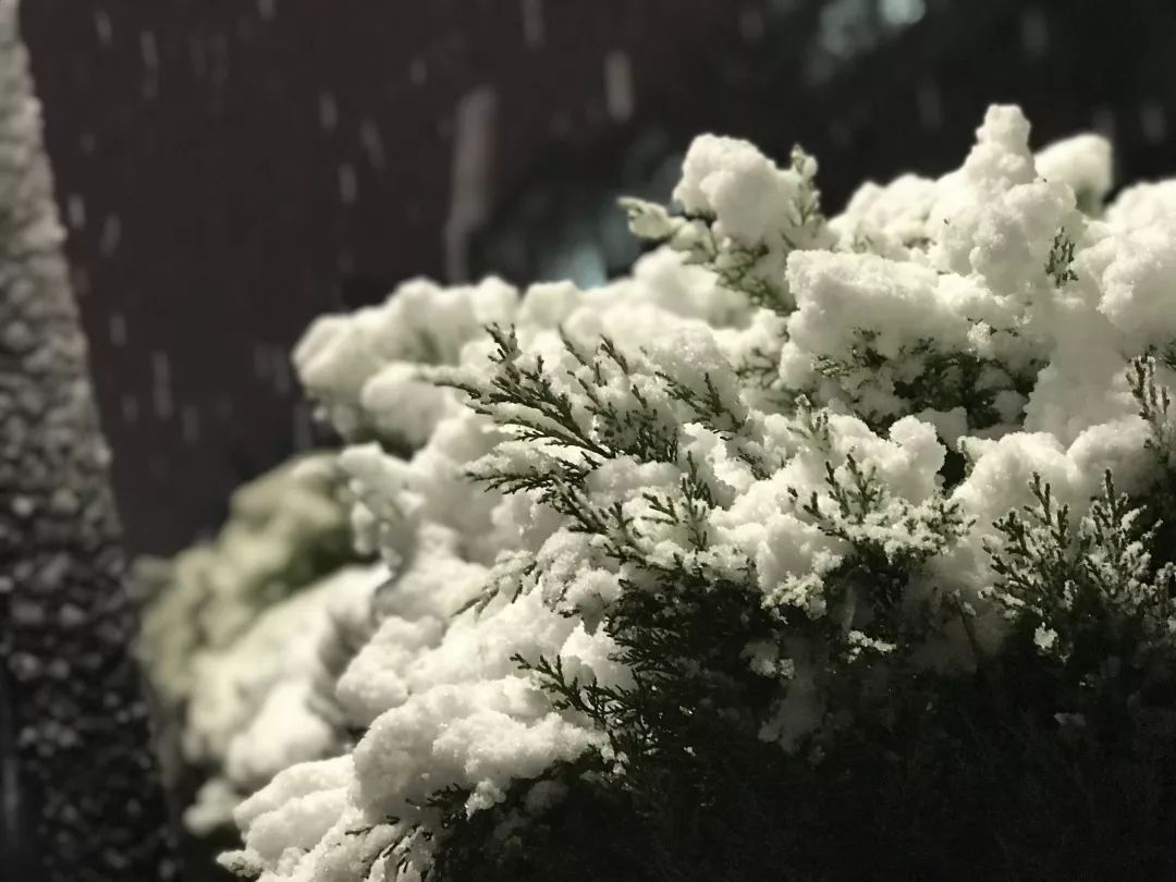 像初雪一样靠近你简谱_初雪钢琴简谱(3)