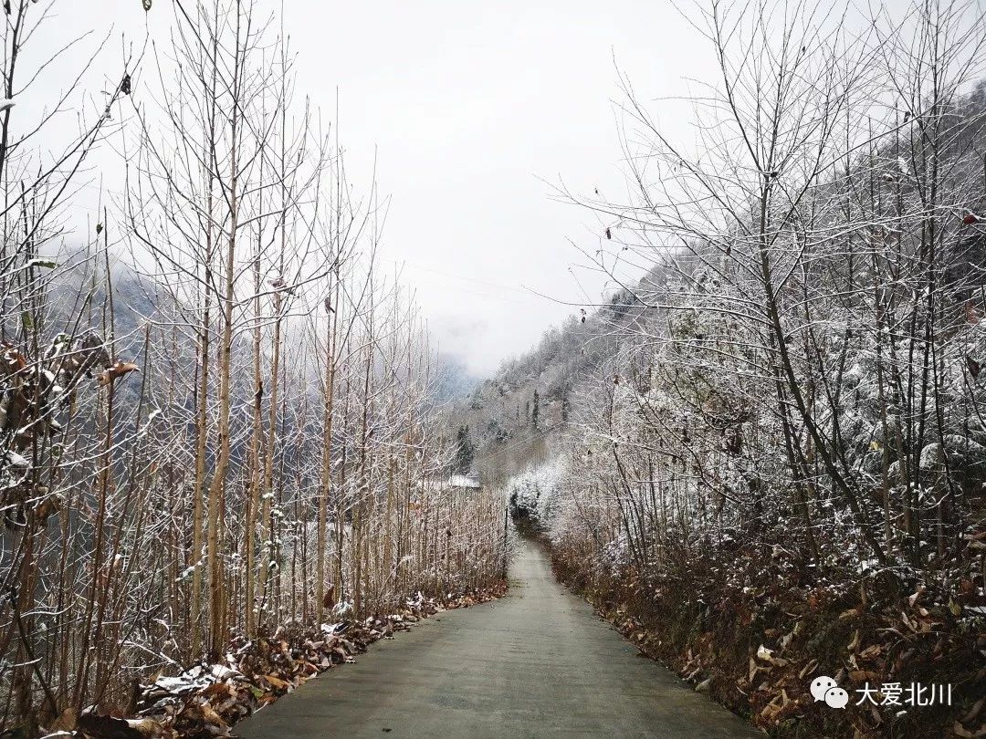 下雪啦!北川这场雪景美爆了!(内附视频)