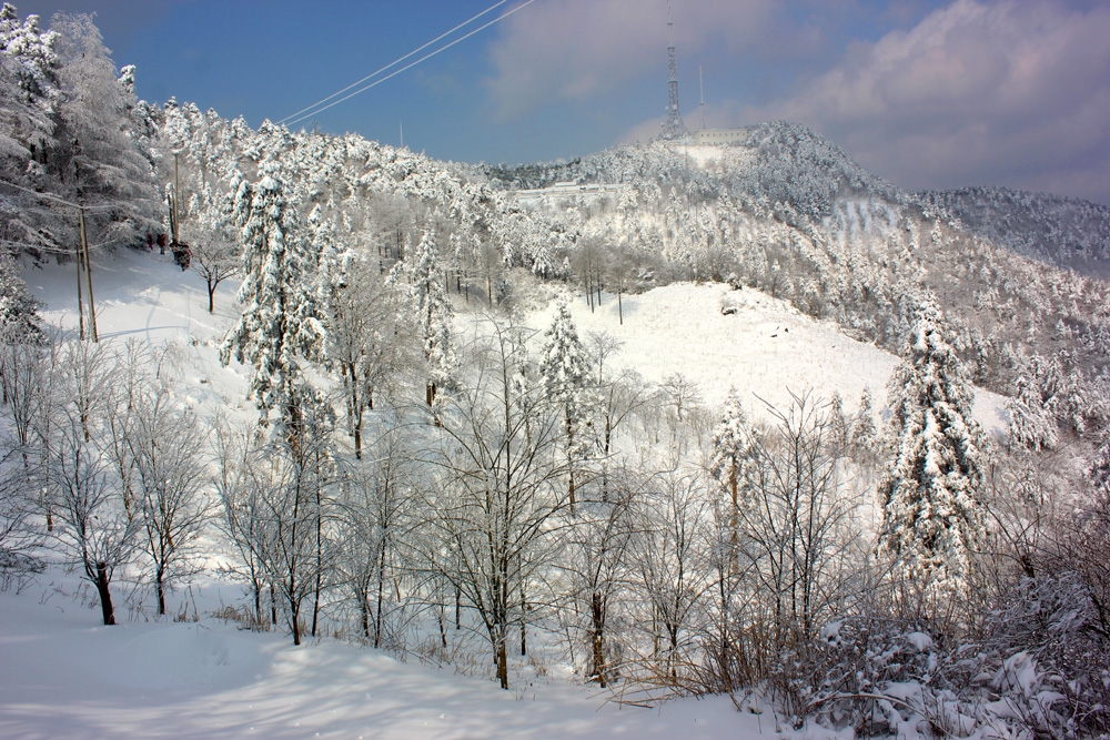 白雪纷飞听雪的声音