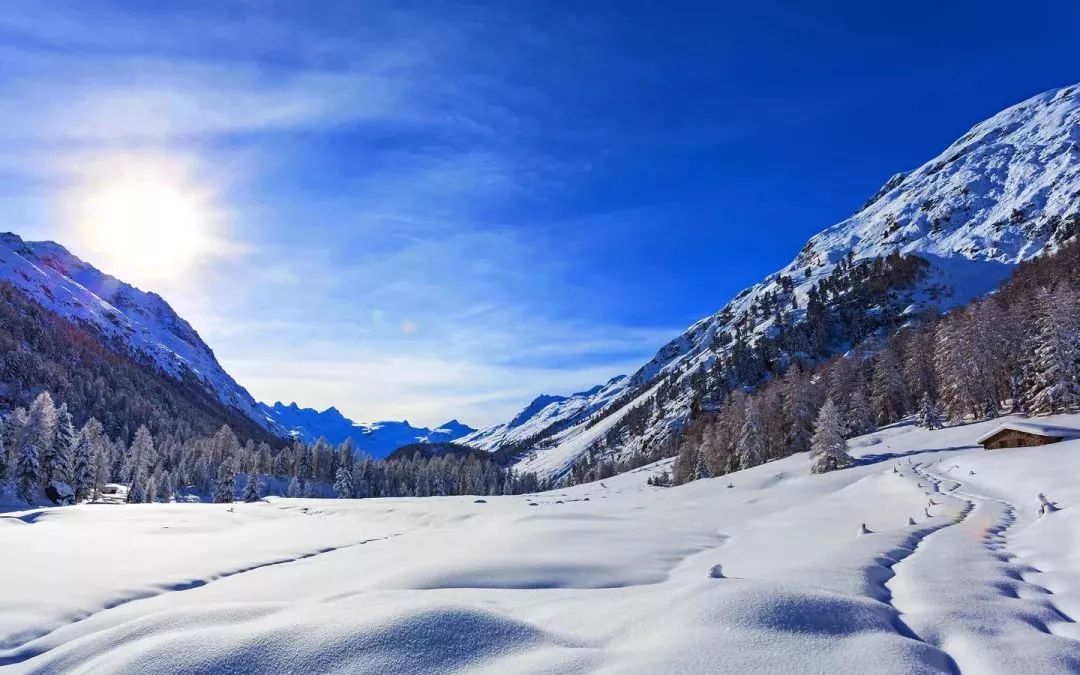 今日大雪丨大雪瑞丰年,寒冬暖人心