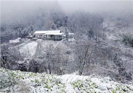 雪!啦!绵阳城区今冬第一场雪,或许就在今晚!(想看雪的速来)