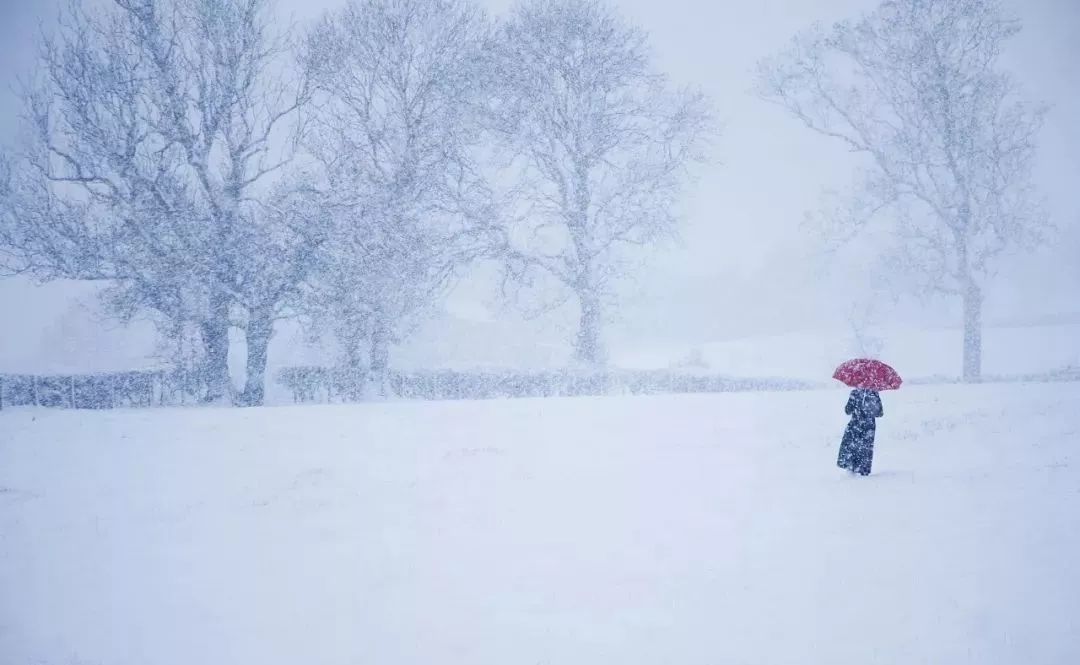 雪晴云淡日光寒 檐流未滴梅花冻 今天12时26分 大雪节气到来 这是个