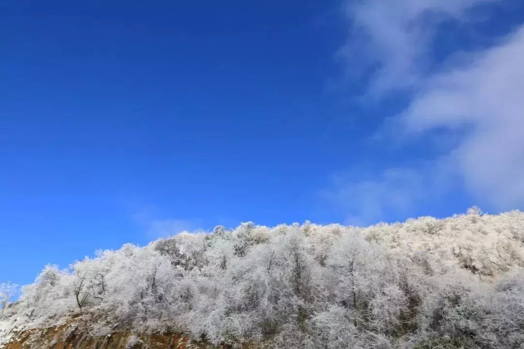 下雪啦下雪啦下雪啦绵阳今冬第一场雪来的不早也不晚挺正经