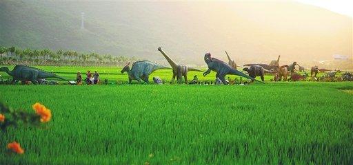 壁纸 草原 成片种植 风景 植物 种植基地 桌面 512_240