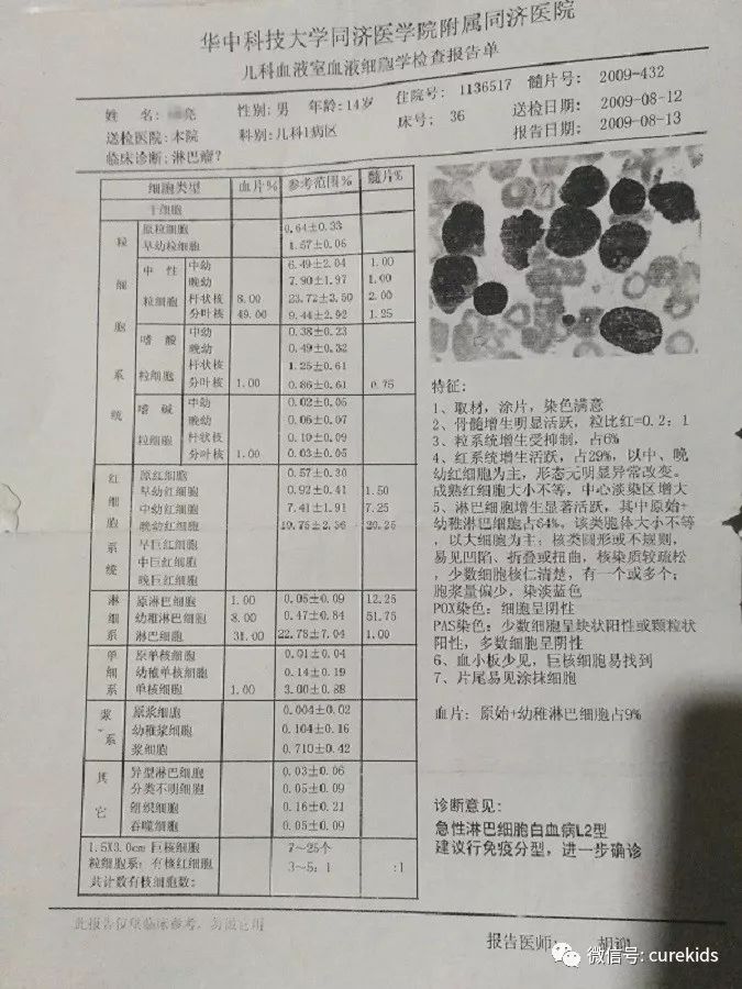 六年前结束白血病治疗如今他实现梦想还收获爱情家庭