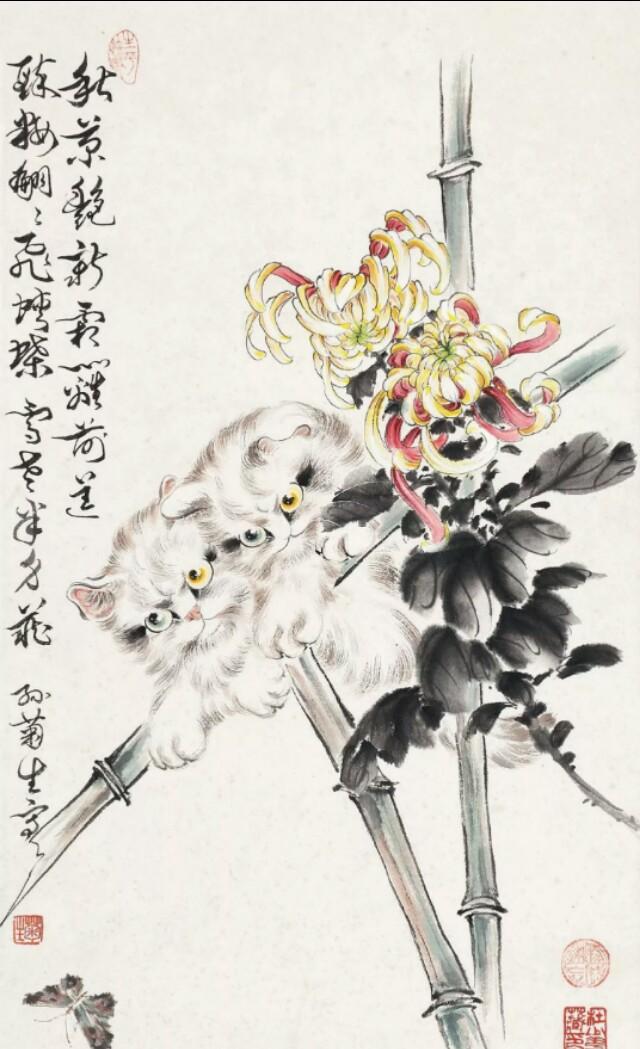 紫艳半开喵喵喵|现当代名家孙菊生画菊作品欣赏