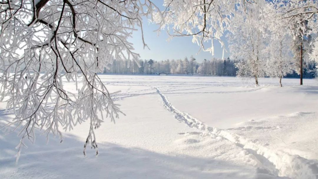 当大雪节气到来的时候，古代诗人在做些什么 ？