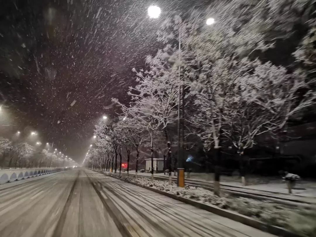 昨夜,临沂一夜飞雪,琅琊雪景美哭!接下来的断崖式降温要注意