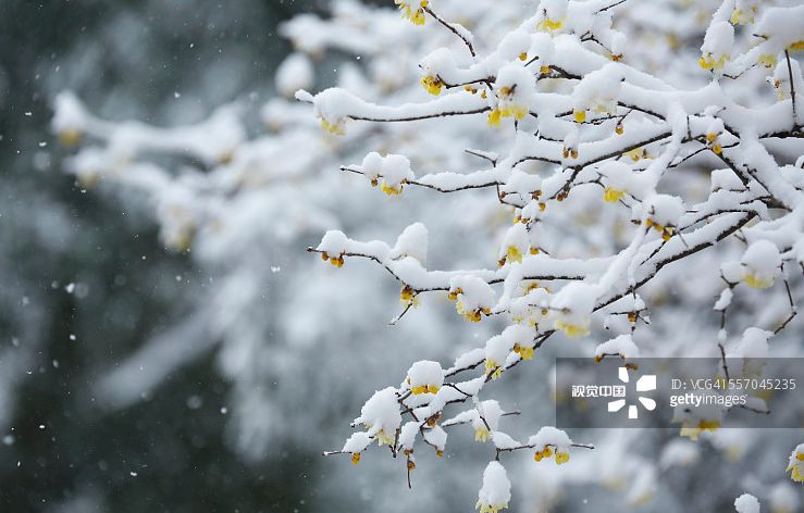 "断崖式降温",这种病高发!今天,江苏8个城市将下雪