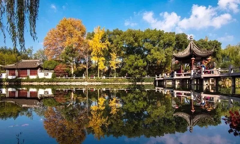在上海，總有一個小鎮的秋冬美景讓你心動 旅行 第6張