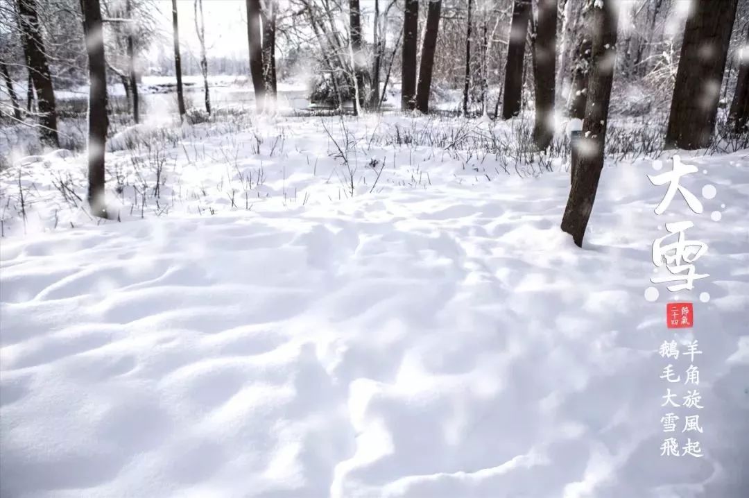 今日大雪!除了冷冷冷,你还需要知道这些事!