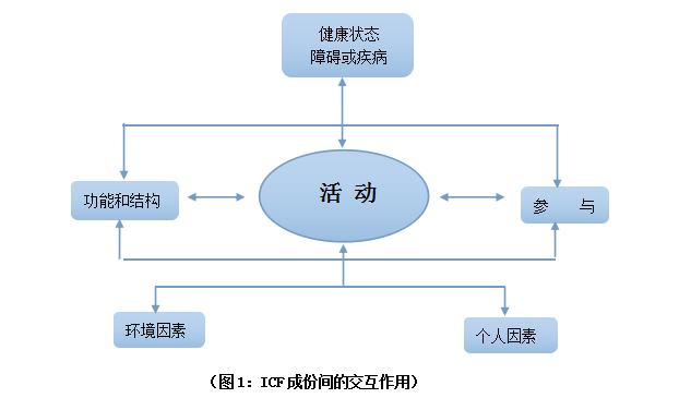 icf是个好东西:康复科学的理论支撑