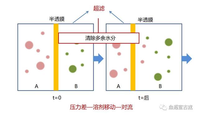 血液透析是根据膜平衡原理,将患者血液通过一种有许多小孔的薄膜(或