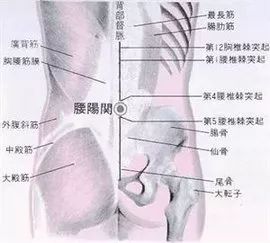 抹腰是怎么办