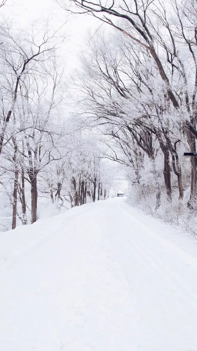 这样的悠闲让人忘记了寒冷. 若是雪至也会大雪纷飞.