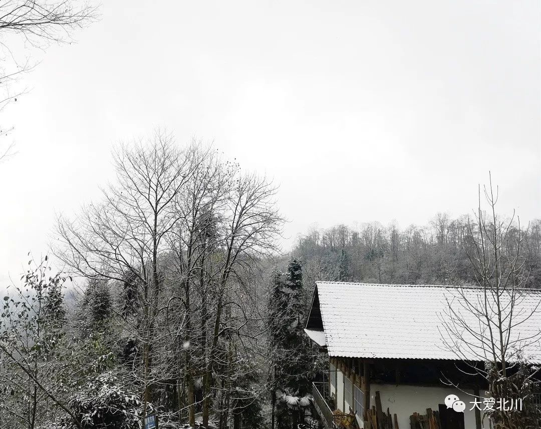 下雪啦!北川这场雪景美爆了!(内附视频)