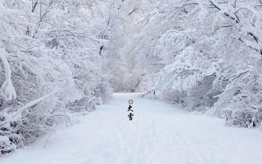 大雪,是二十四节气中的第二十一个节气 冬季的第三个节气 时间是每年