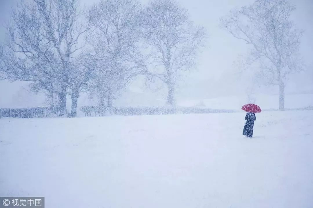 在古人看来 大雪的标志性物候有三 一候鹖鴠不鸣 天气更加寒冷 寒号鸟