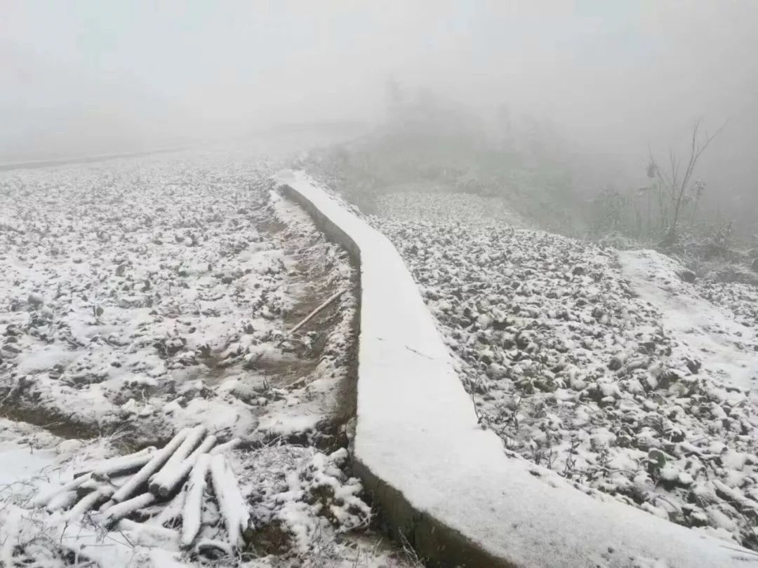 下雪啦今日大雪南充降下今年冬天的第一场雪