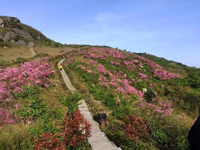 周末了,一起去西坞爬山呀,西坞步道完整推荐版_奉化