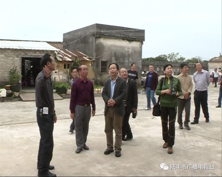 省级古村落专家组考察博美镇鳌峰村,内湖三陂村