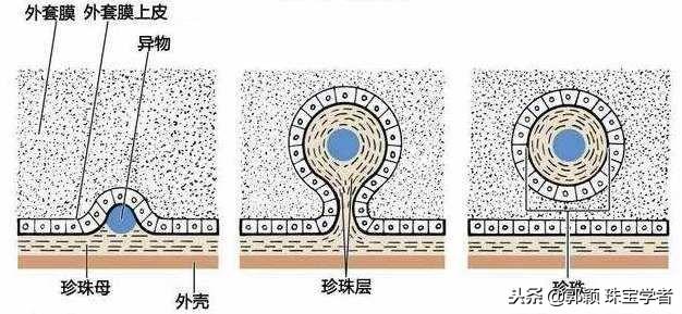 核变的原理_离子液体热分解机理的原位变温多核核磁共振研究(2)