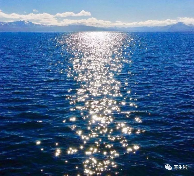 阳光与波光粼粼的湖面相互生发,就如观众的精神与作品神彩的互照!