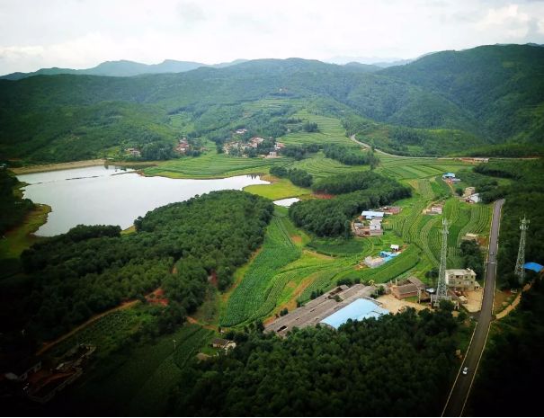 五里牌村人口_珠里村五里沙鸟瞰图