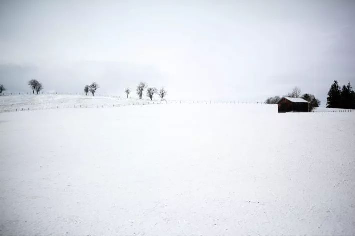 飞花令61雪丨有雪无诗俗了人