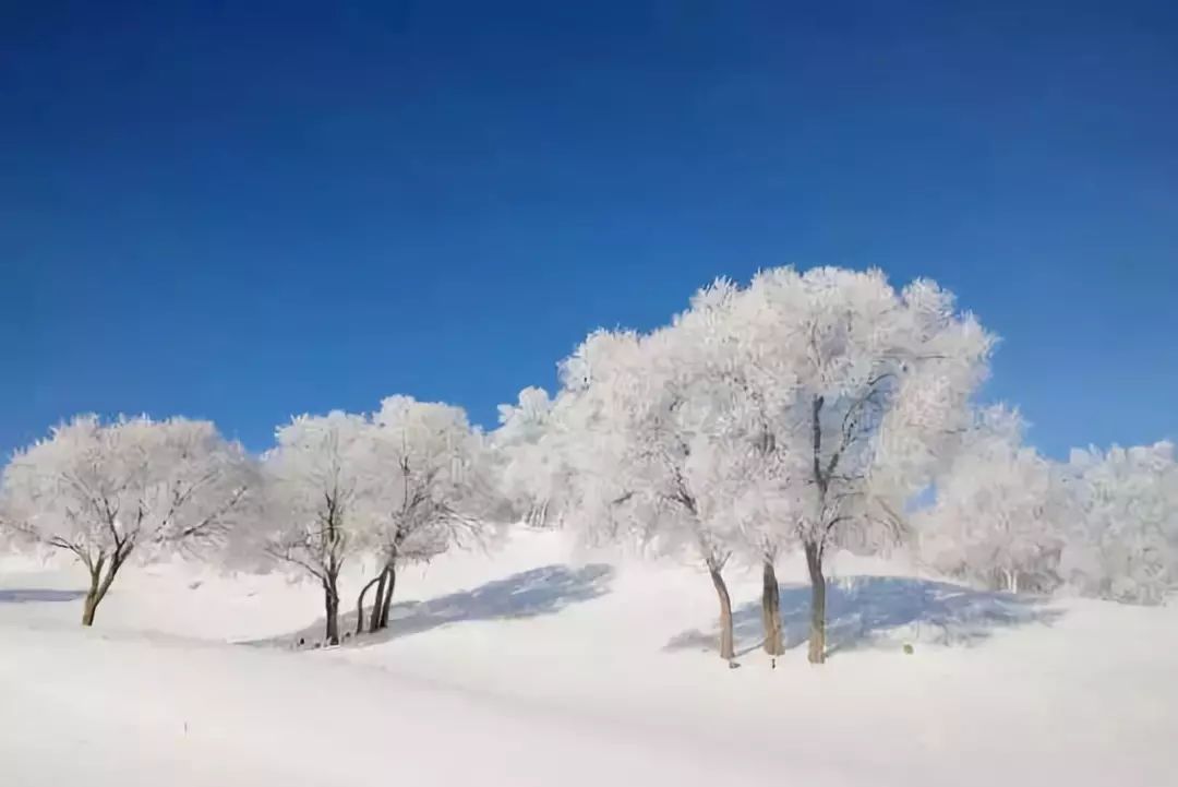 崇礼我们滑雪去