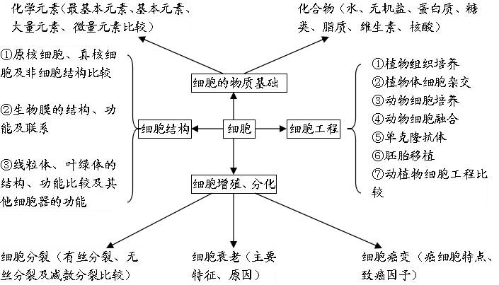 绿色植物的新陈代谢