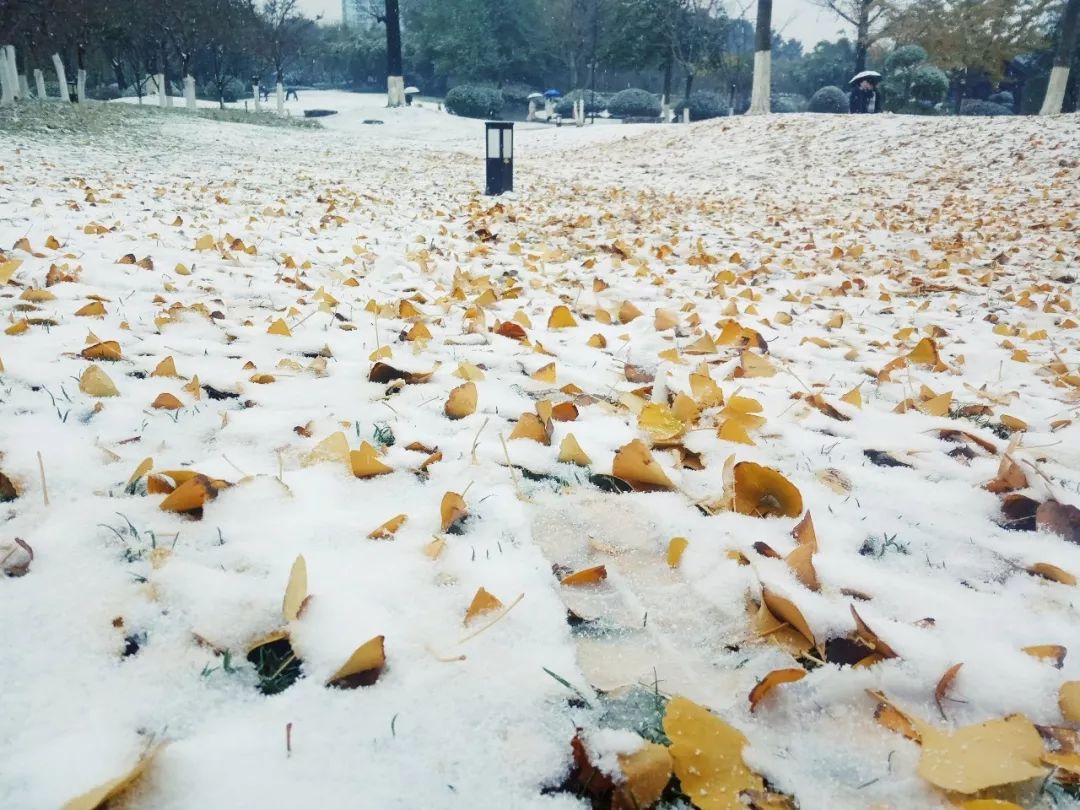 你的初雪,我的诗意