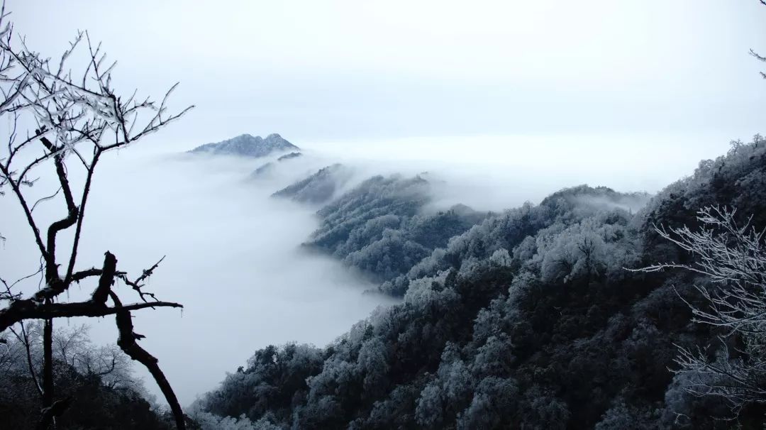 【冬游兴安】喜迎六十周年大庆,桂林猫儿山观雾凇奇观