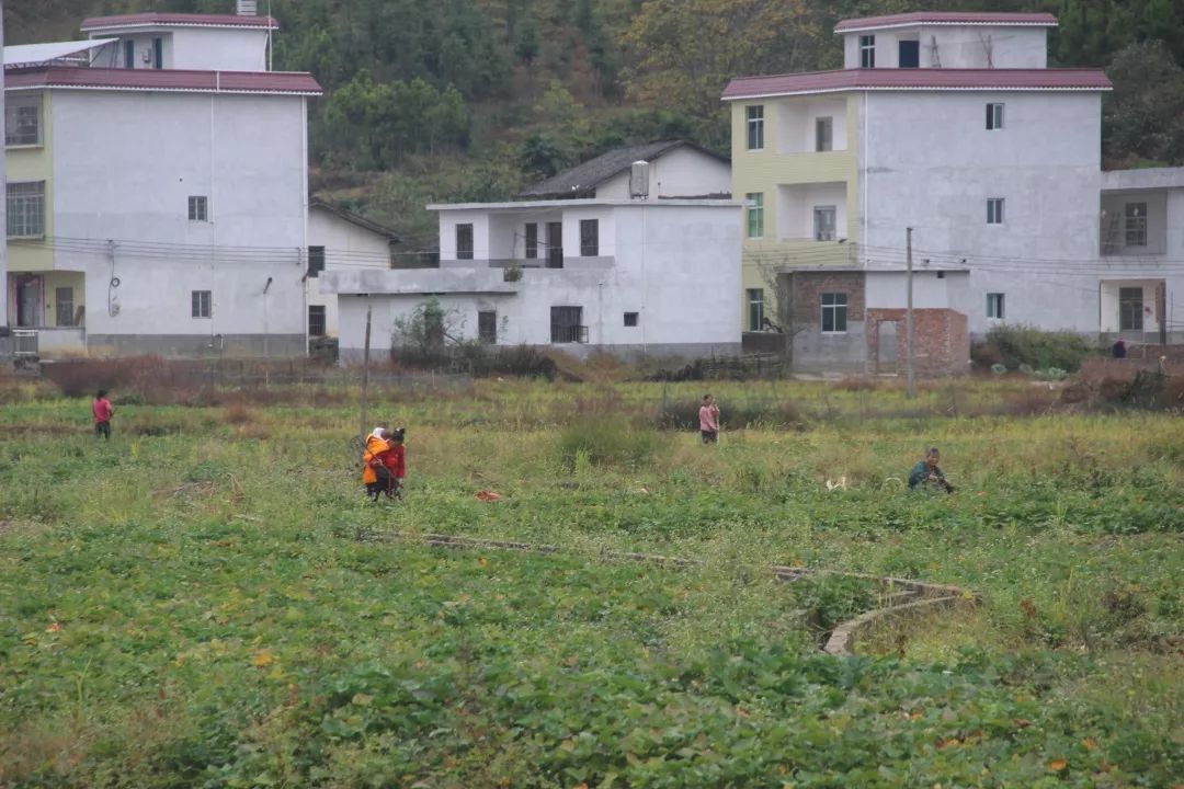 浮槎乡人口_浮槎(2)