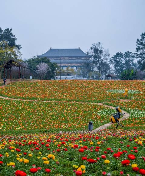 千年古刹石象寺静静地矗立在石象湖内,寺庙始建于蜀汉225年,源于三国