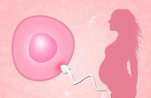 排卵時，女生的身體一般會發出3種「信號」，備孕夫妻最好別錯過 親子 第1張