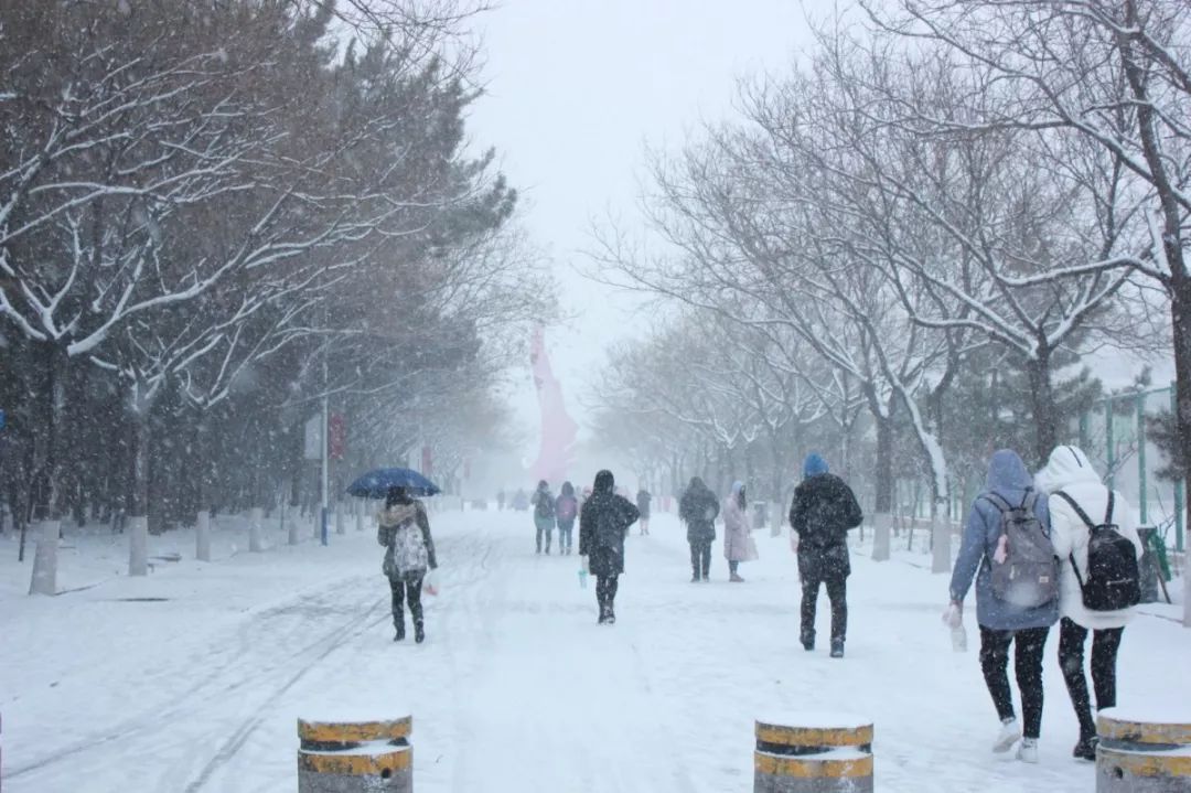 "我的城市下雪了"