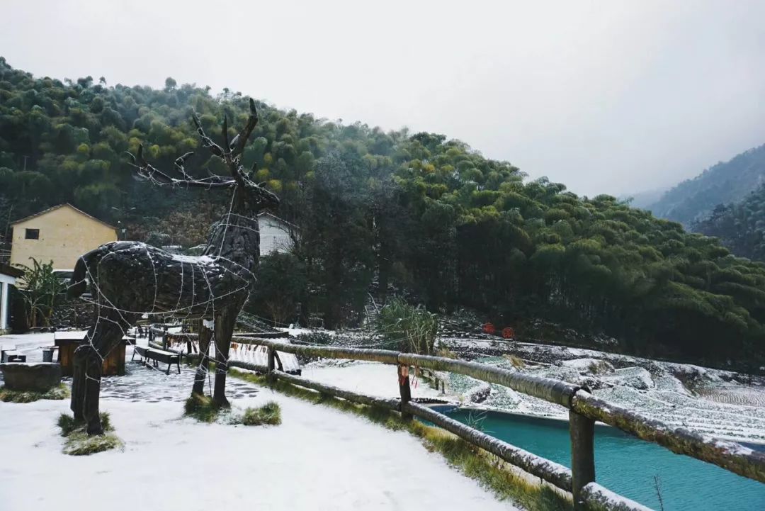 一夜之间莫干山安吉等已成童话世界,现在泡私汤,打雪仗,躺床上看雪景