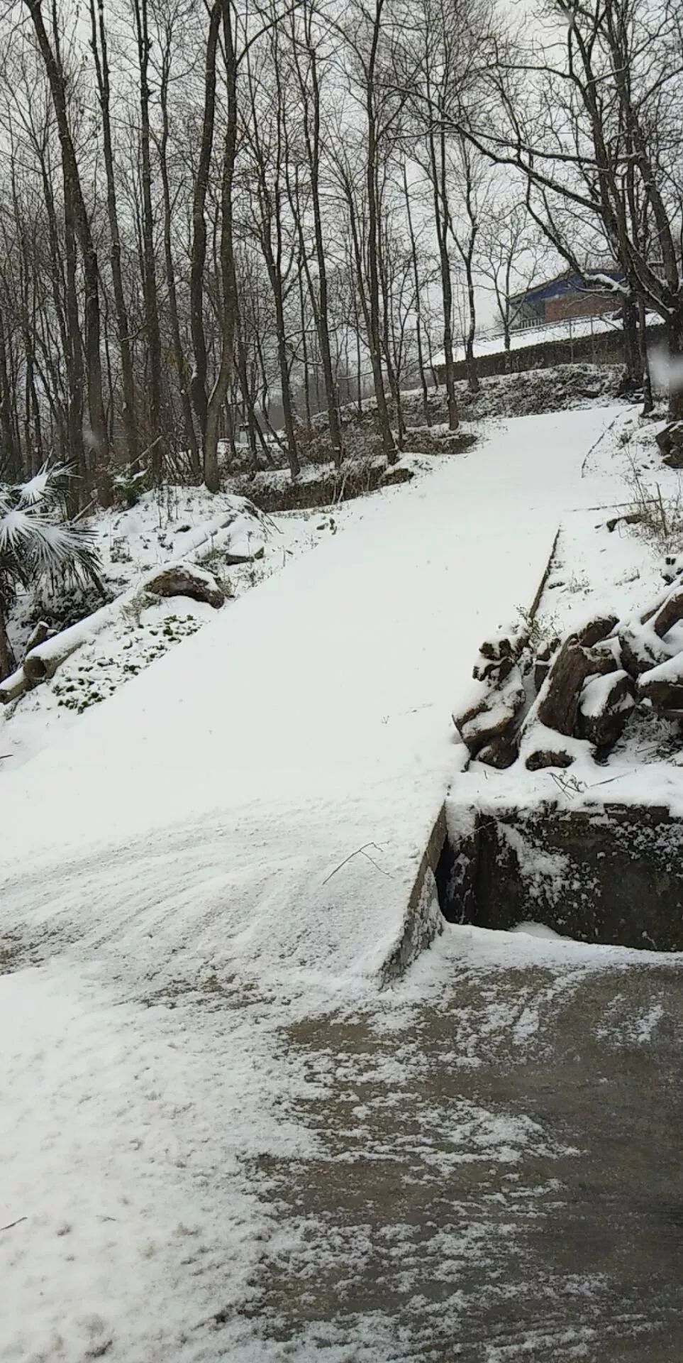 广元真的下雪了!还有四县三区全家福!