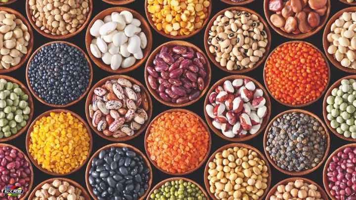 "每天吃豆三钱,何需服药连年"的民间谚语也正说明了豆类的益处.