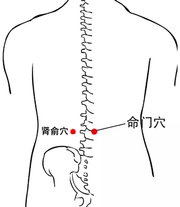 冬季灸灸这,超级养脾胃!收藏