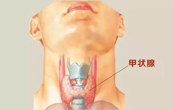 大庆市甲状腺癌占人口的多少_大庆市地图(3)