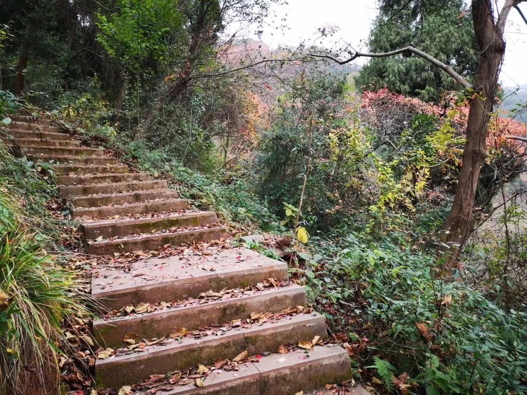 去大山邻居爬山健身出出汗~_龙泉