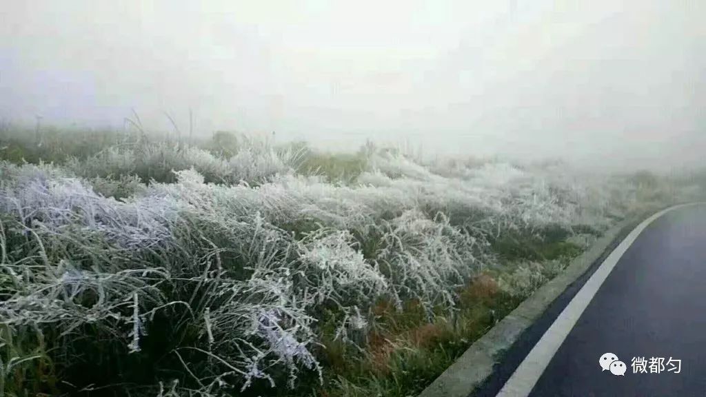 长顺县有多少人口_就算大雨让这座城市颠倒,公司照样算你迟到 成都今早 看海(3)